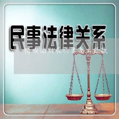 慘不忍睹 借唄逾期后，花唄該如何還款？一文講清方法與順序