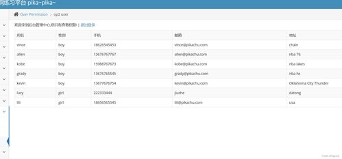 網(wǎng)絡(luò)與信息安全軟件開(kāi)發(fā) 第八天關(guān)鍵漏洞分析與防護(hù)